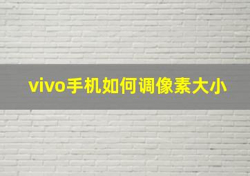 vivo手机如何调像素大小