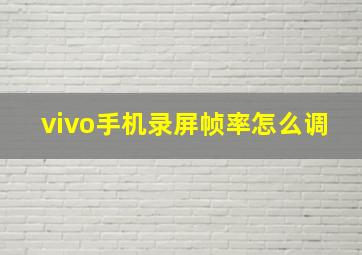 vivo手机录屏帧率怎么调