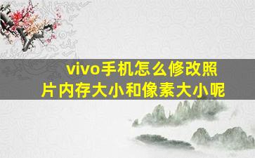 vivo手机怎么修改照片内存大小和像素大小呢