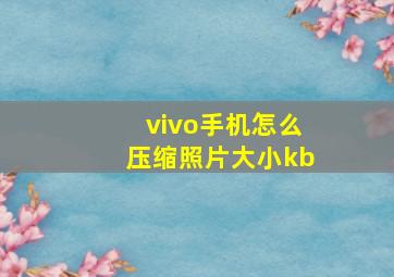 vivo手机怎么压缩照片大小kb