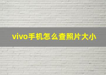 vivo手机怎么查照片大小