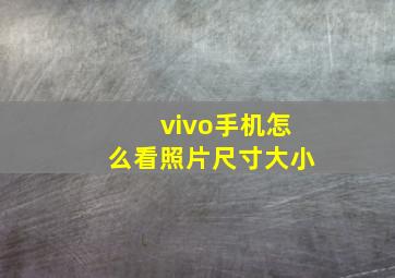 vivo手机怎么看照片尺寸大小