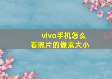 vivo手机怎么看照片的像素大小