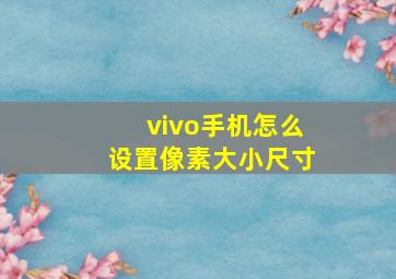 vivo手机怎么设置像素大小尺寸