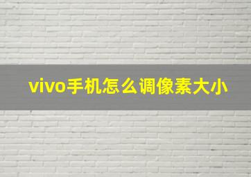 vivo手机怎么调像素大小