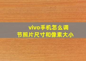 vivo手机怎么调节照片尺寸和像素大小