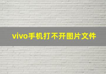 vivo手机打不开图片文件