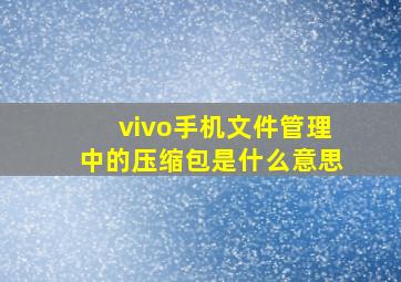 vivo手机文件管理中的压缩包是什么意思