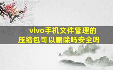 vivo手机文件管理的压缩包可以删除吗安全吗