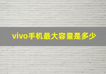 vivo手机最大容量是多少