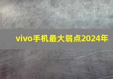 vivo手机最大弱点2024年