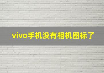 vivo手机没有相机图标了