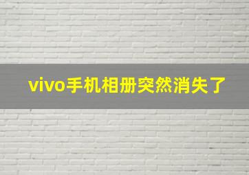 vivo手机相册突然消失了