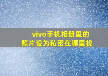 vivo手机相册里的照片设为私密在哪里找