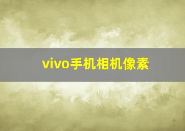 vivo手机相机像素