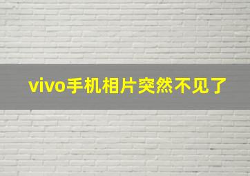 vivo手机相片突然不见了