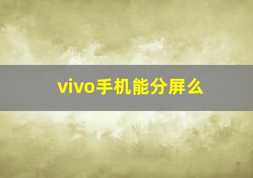 vivo手机能分屏么