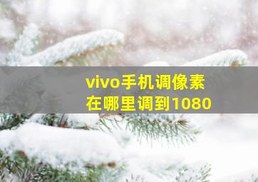 vivo手机调像素在哪里调到1080