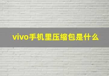 vivo手机里压缩包是什么