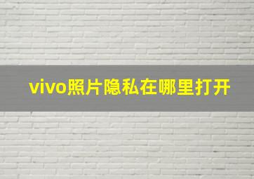 vivo照片隐私在哪里打开