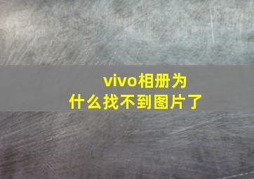 vivo相册为什么找不到图片了