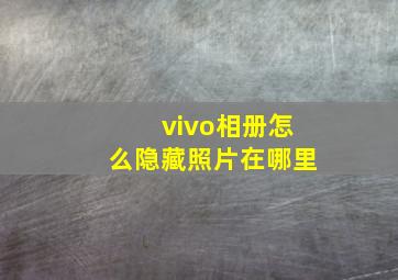 vivo相册怎么隐藏照片在哪里