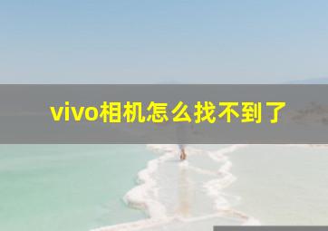 vivo相机怎么找不到了