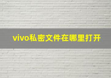 vivo私密文件在哪里打开