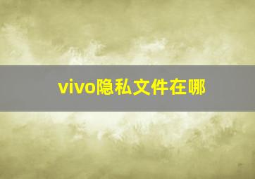 vivo隐私文件在哪