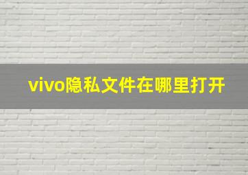 vivo隐私文件在哪里打开