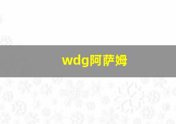 wdg阿萨姆