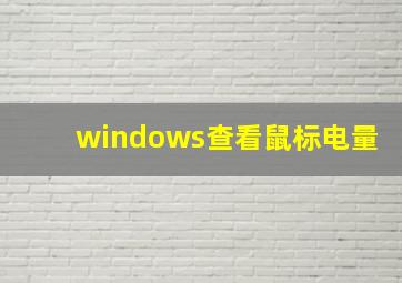 windows查看鼠标电量