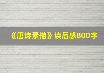 《唐诗素描》读后感800字