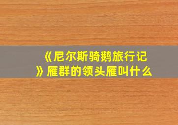 《尼尔斯骑鹅旅行记》雁群的领头雁叫什么