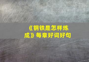 《钢铁是怎样炼成》每章好词好句