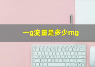 一g流量是多少mg