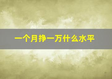 一个月挣一万什么水平