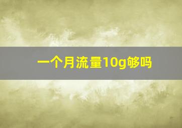 一个月流量10g够吗