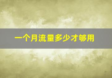 一个月流量多少才够用