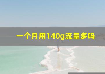 一个月用140g流量多吗