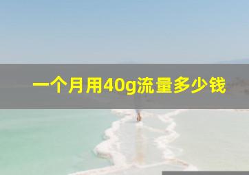 一个月用40g流量多少钱