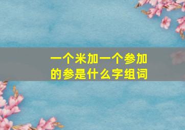 一个米加一个参加的参是什么字组词