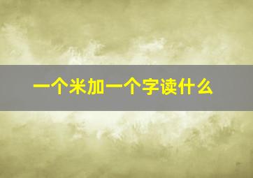 一个米加一个字读什么