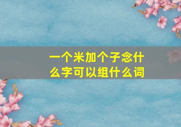 一个米加个子念什么字可以组什么词