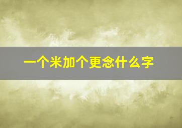 一个米加个更念什么字