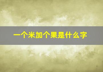 一个米加个果是什么字