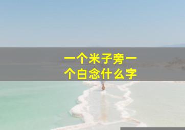 一个米子旁一个白念什么字