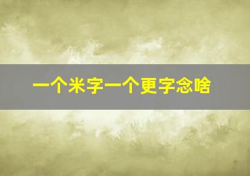 一个米字一个更字念啥