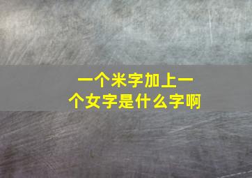 一个米字加上一个女字是什么字啊