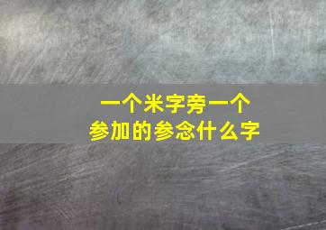 一个米字旁一个参加的参念什么字